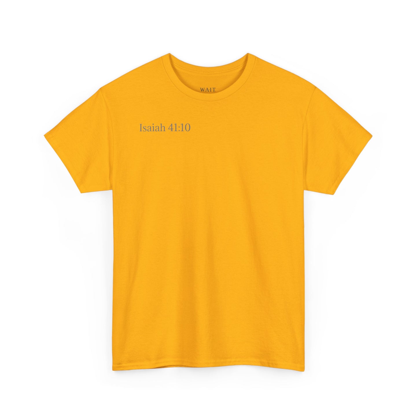 Lion of Judah — Isaiah 41:10 Inspirational Christian T‑Shirt