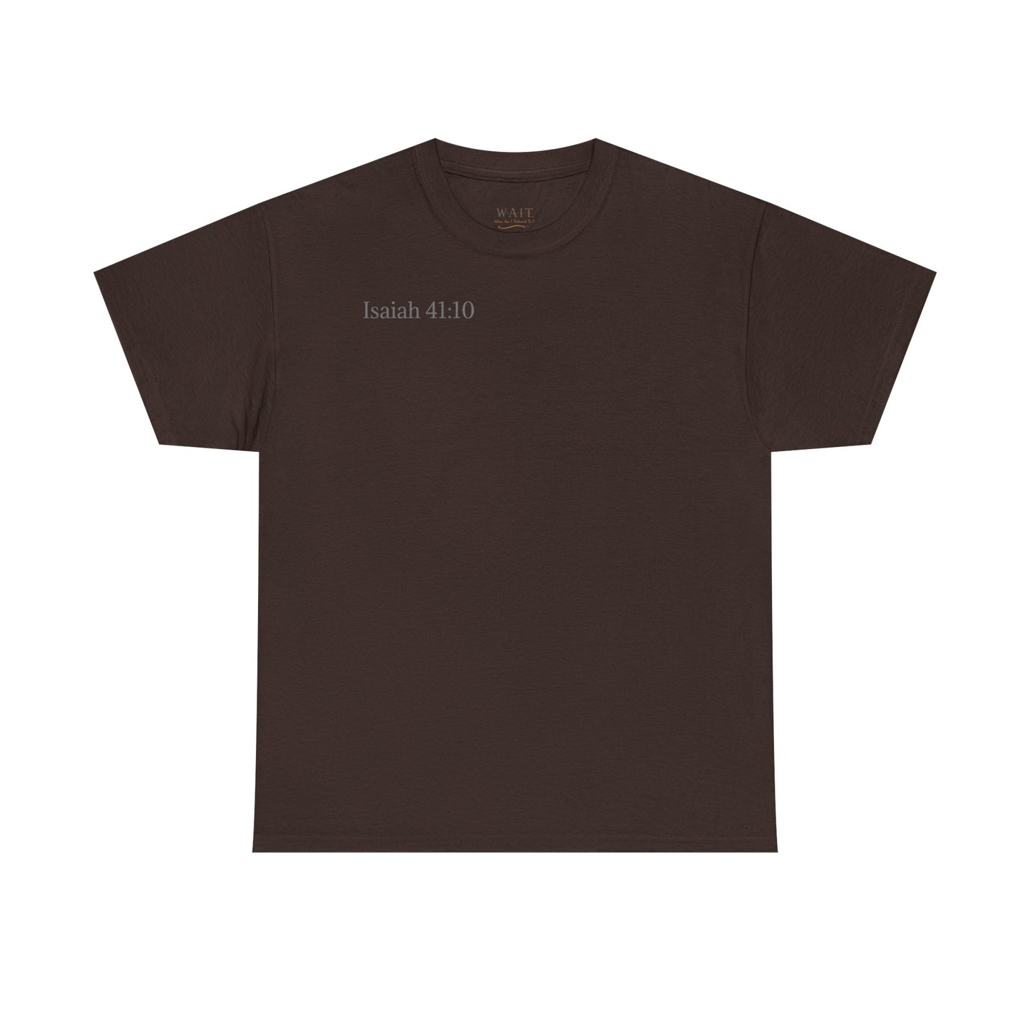 Lion of Judah — Isaiah 41:10 Inspirational Christian T‑Shirt