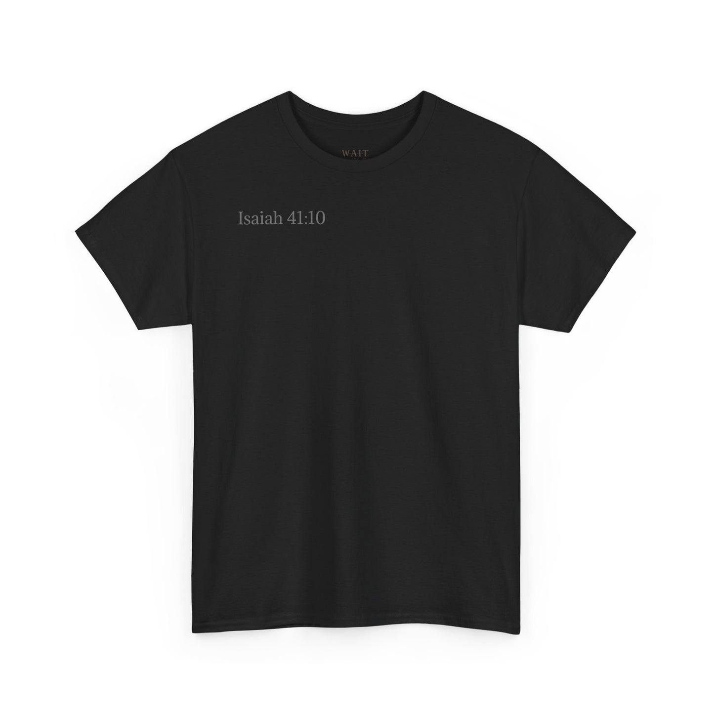 Lion of Judah — Isaiah 41:10 Inspirational Christian T‑Shirt
