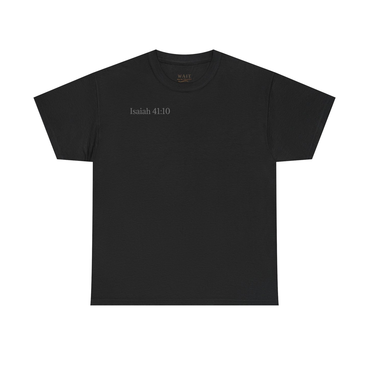 Lion of Judah — Isaiah 41:10 Inspirational Christian T‑Shirt