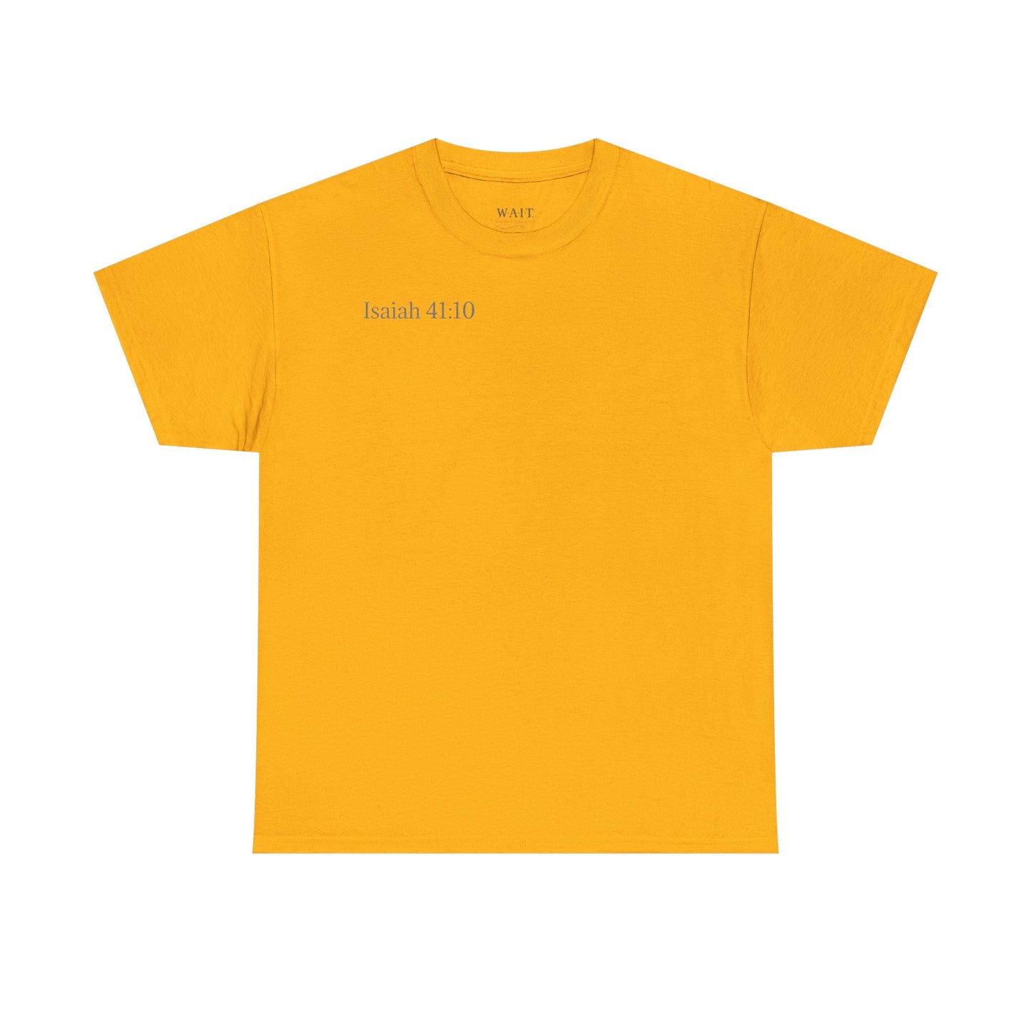 Lion of Judah — Isaiah 41:10 Inspirational Christian T‑Shirt